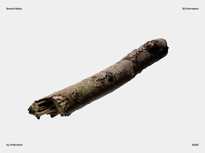 Branch Moss 3D Animation 3d 3d animation 3d art 3d blender animation branch clean flowers moss motion graphics nature nature animation organic motion professional simple tree