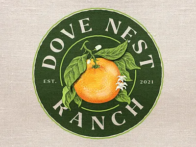 Dove Nest Ranch branding citrus coloredillustration design graphic design graphicdesign illustration illustrator logo logo design oranges vintageillustration watercolor