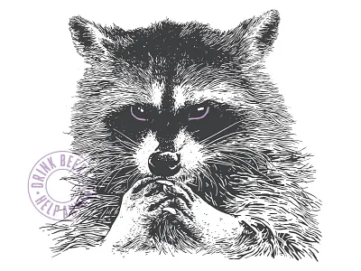 Metazoa Racoon beer beer branding illustration packaging racoon