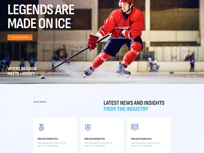 Puck - Ice Hockey & Winter Sports WordPress Theme blog design illustration ui web design webdesign wordpress wordpress design wordpress theme wordpress themes