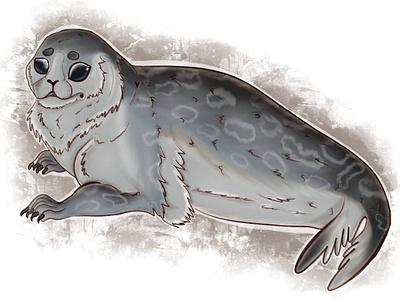 Baltic Ringed Seal animal illustration illustration procreate raster raster graphics raster illustration