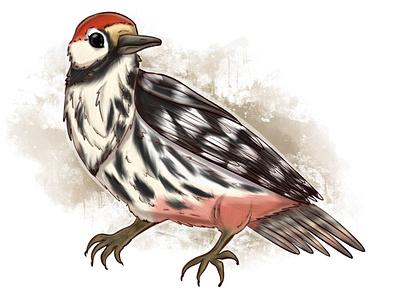 white-backed woodpecker animal illustration illustration procreate raster raster graphics raster illustration