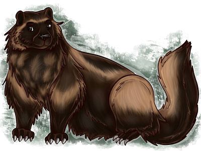 wolverine animal illustration illustration procreate raster raster graphics raster illustration