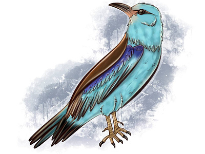 roller animal illustration illustration procreate raster raster graphics raster illustration