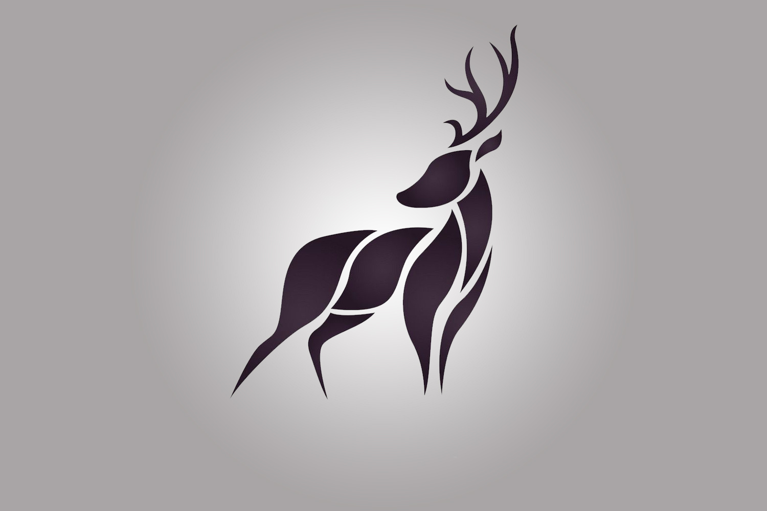 Deer Logo Design by Hamza Ilyas on Dribbble