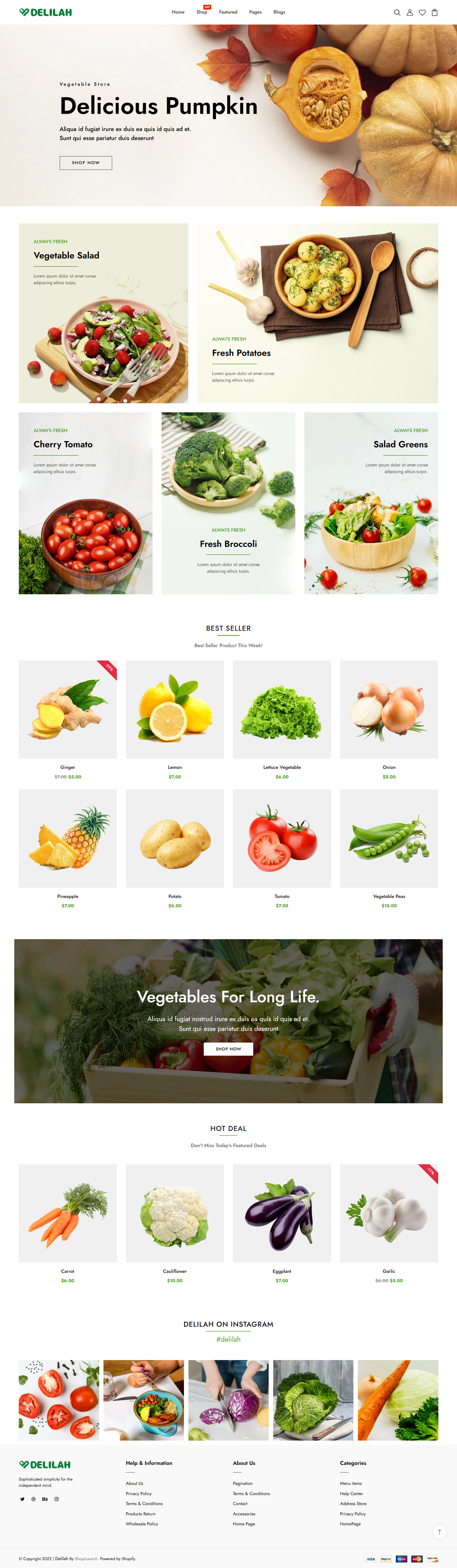 Shopify Vegetable Shop animation branding custom website design dropshipping dropshipping store dropshipping website design shopify shopify theme template ui vegetable store vegetable website web content web designer web developer webstie