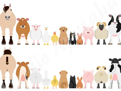 farm animals in a row, front and back animal back behind cartoon cute design farm farm animals front graphic design illustration in a row