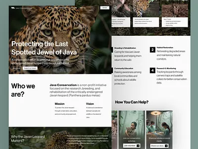 Java Conservation — Javan Leopard Preservation Website landing page minimalist page website