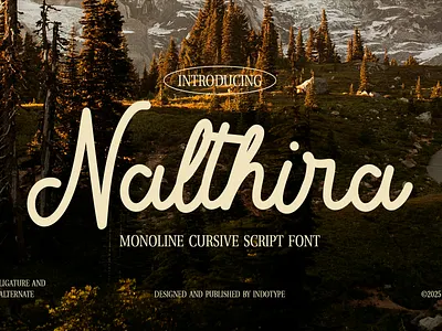Nalthira - Monoline Cursive Script Font branding design font graphic design logo modern script typeface