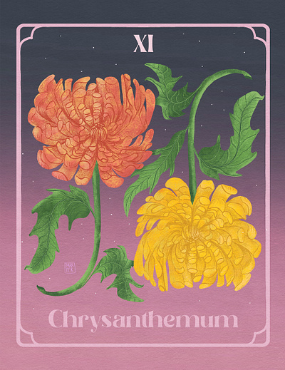 XI. Chrysanthemum - November Birth Flower womanillustrator