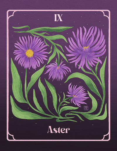 IX. Aster - September Birth Flower womanillustrator