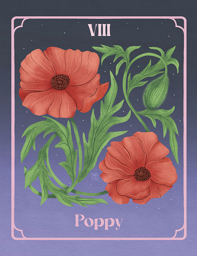 VIII. Poppy - August Birth Flower womanillustrator