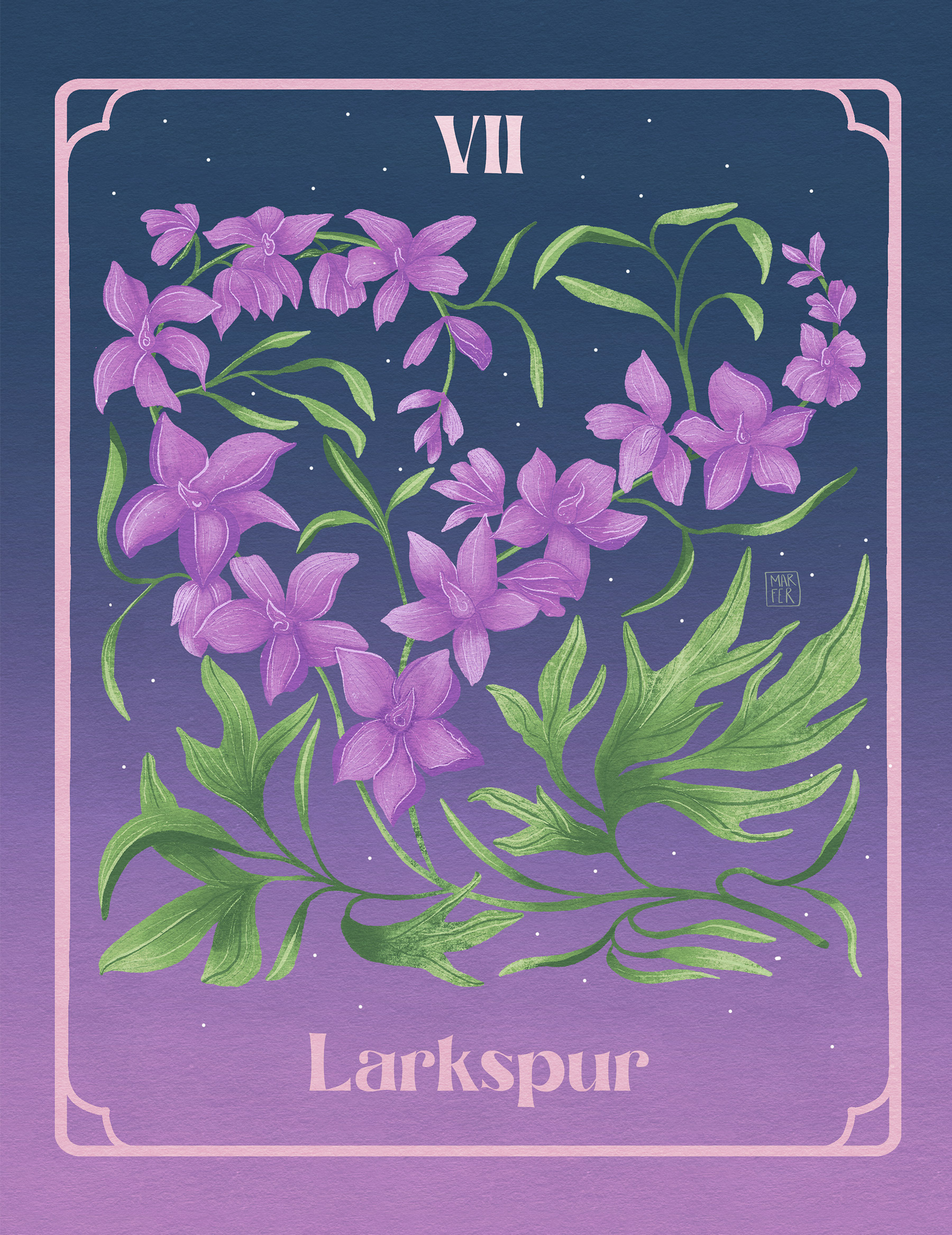 VII. Larkspur - July Birth Flower womanillustrator