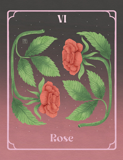 VI. Rose - June Birth Flower womanillustrator