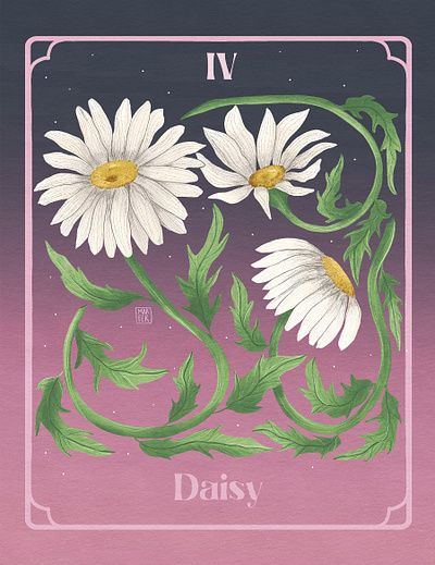 IV. Daisy - April Birth Flower womanillustrator