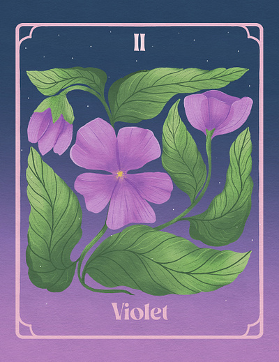 II. Violet - February Birth Flower womanillustrator