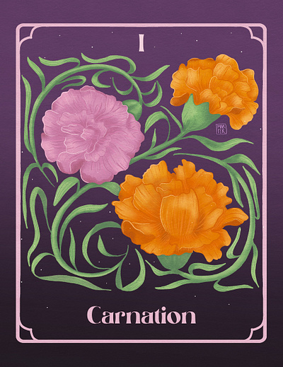 I. Carnation - January Birth Flower womanillustrator