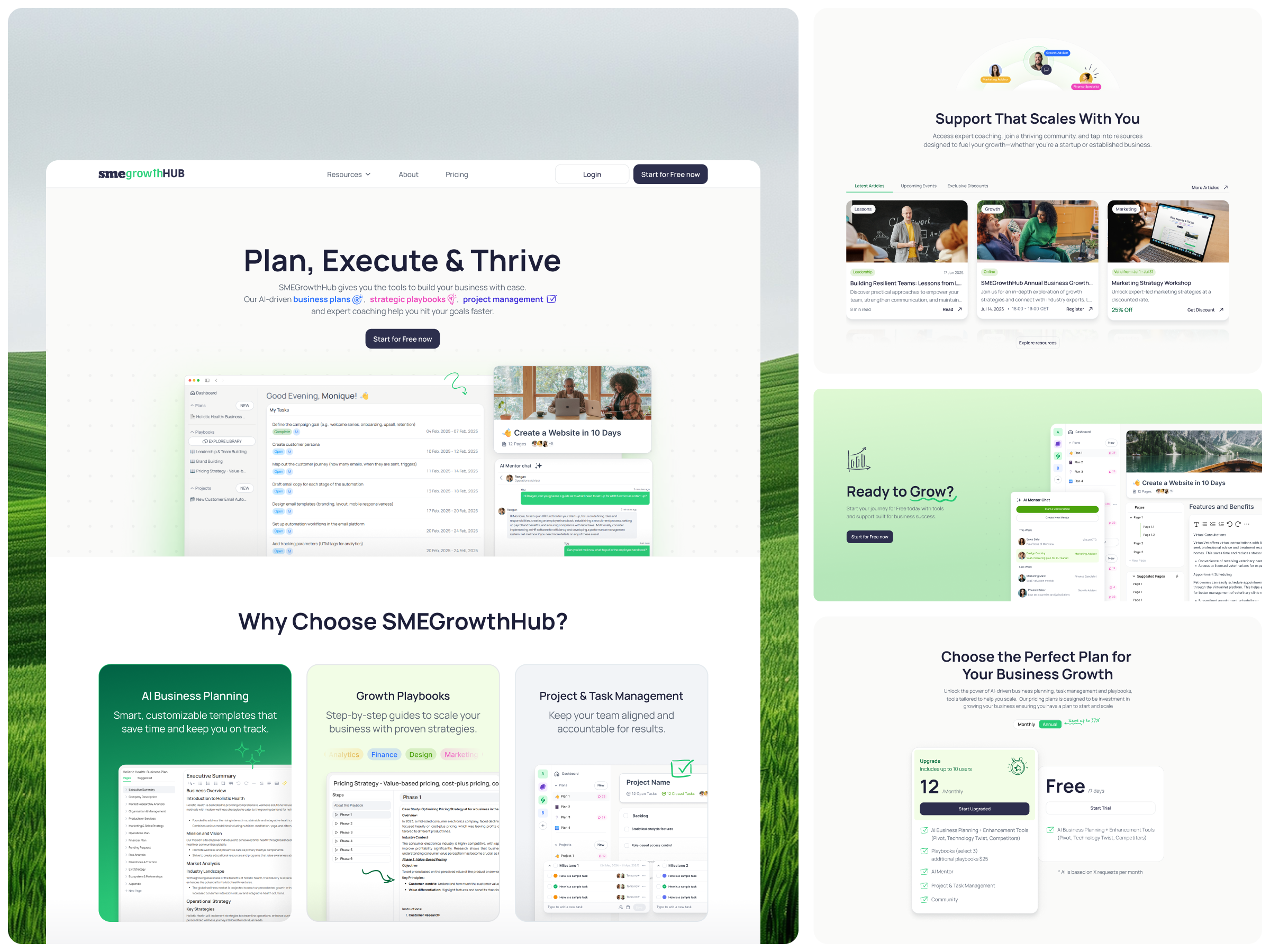Example of Website Design + Development
