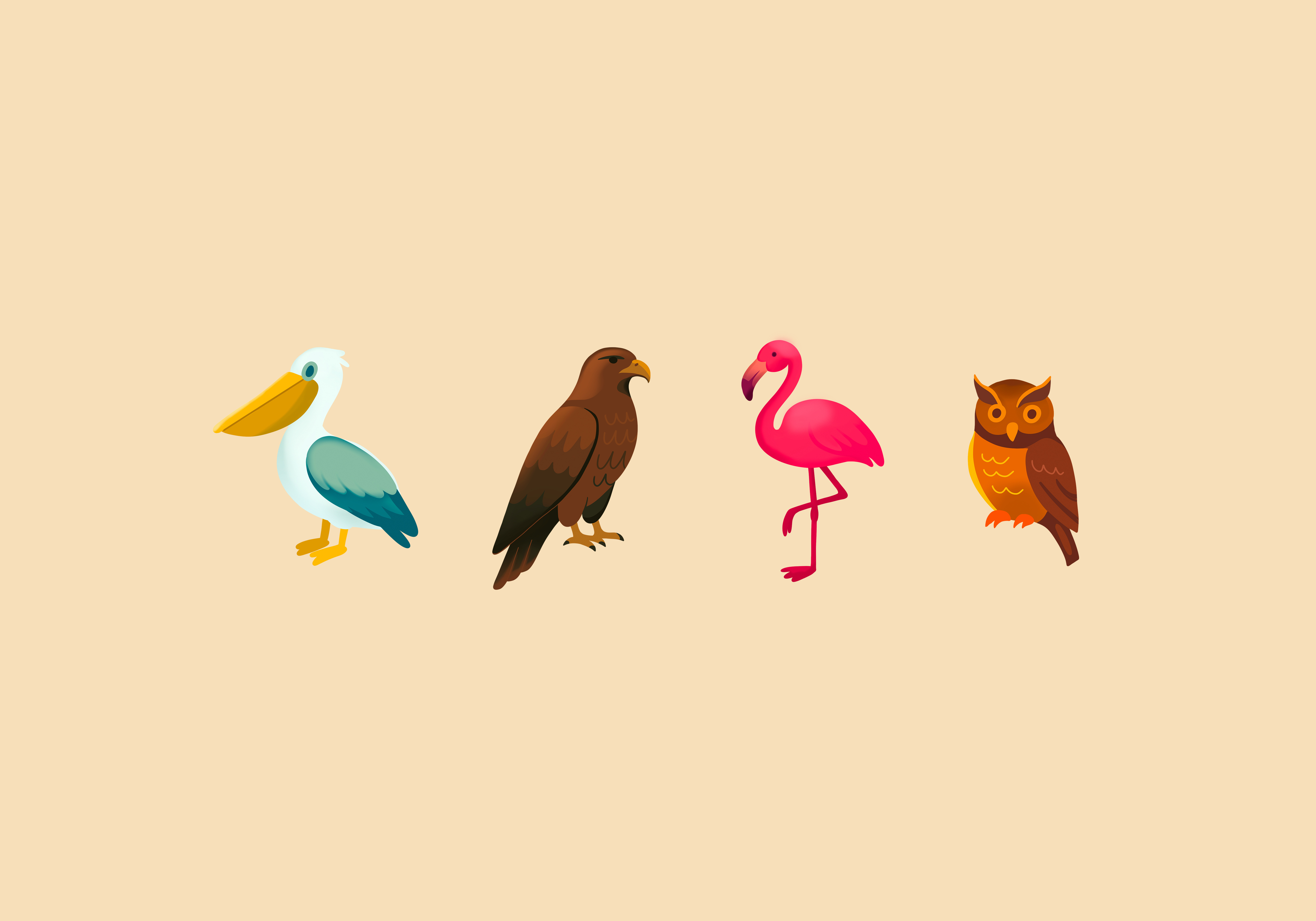 Bird Illustrations animals art bird bird series birding birds editorial editorial illustration flamingo hawk icons illustration nature owl pelican series set spot spot illustration wildlife