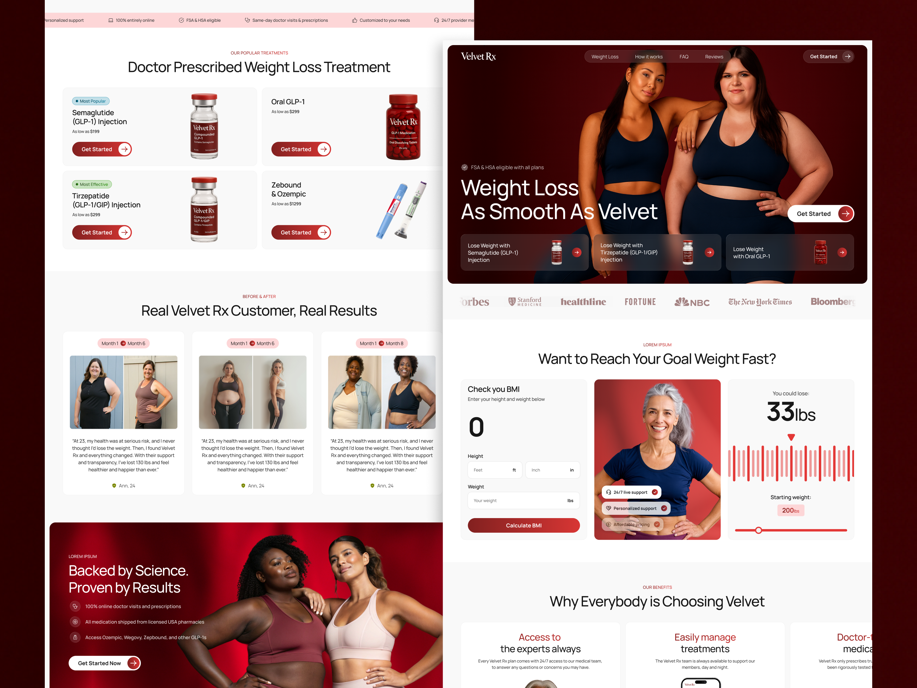 Example of Telehealth & Wellness   Website Design