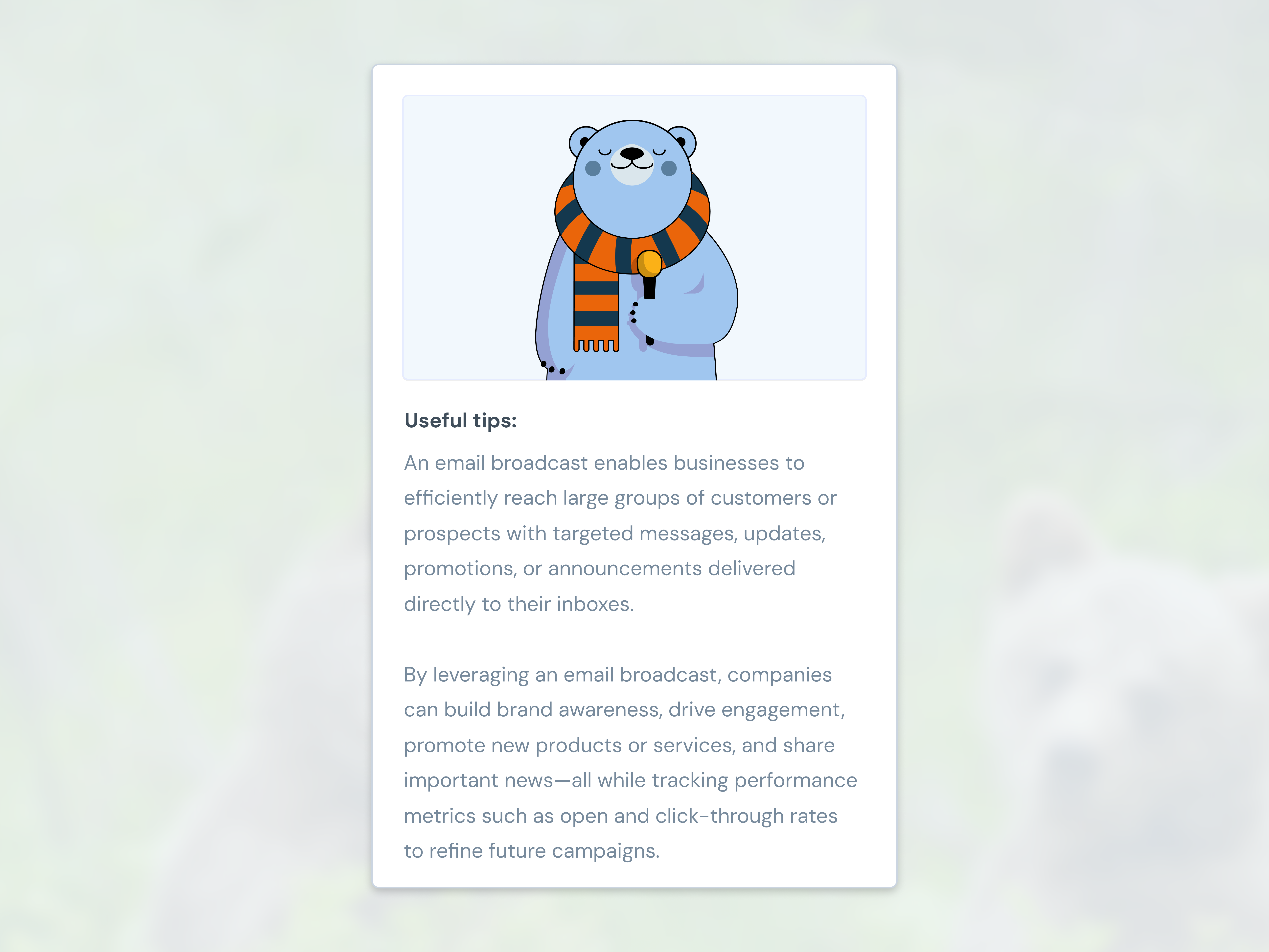 Barb the Bear Character branding illustration mascot ui ux