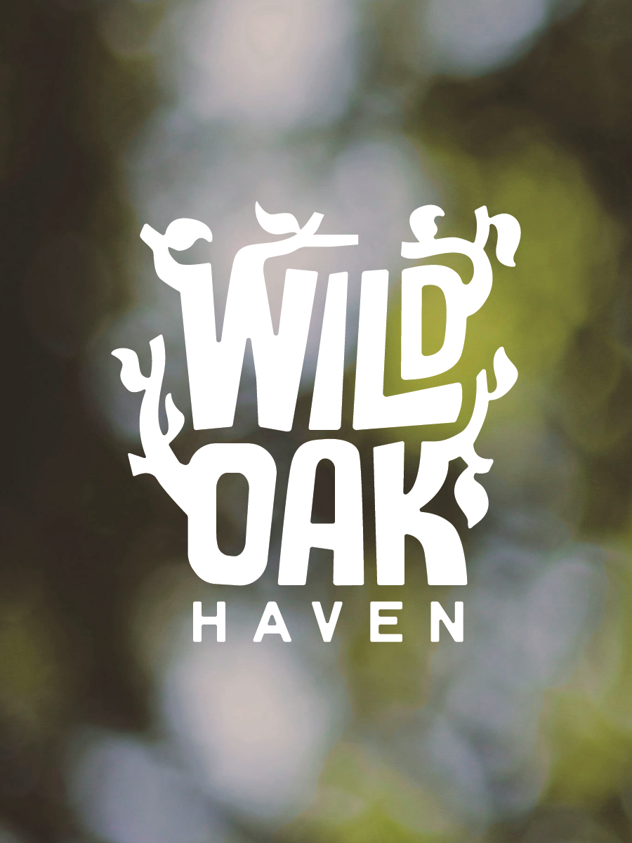 Logo for Wild Oak Haven branding church logo design graphic design illustration illustrator logo nonprofit nonprofit logo procreate virginia
