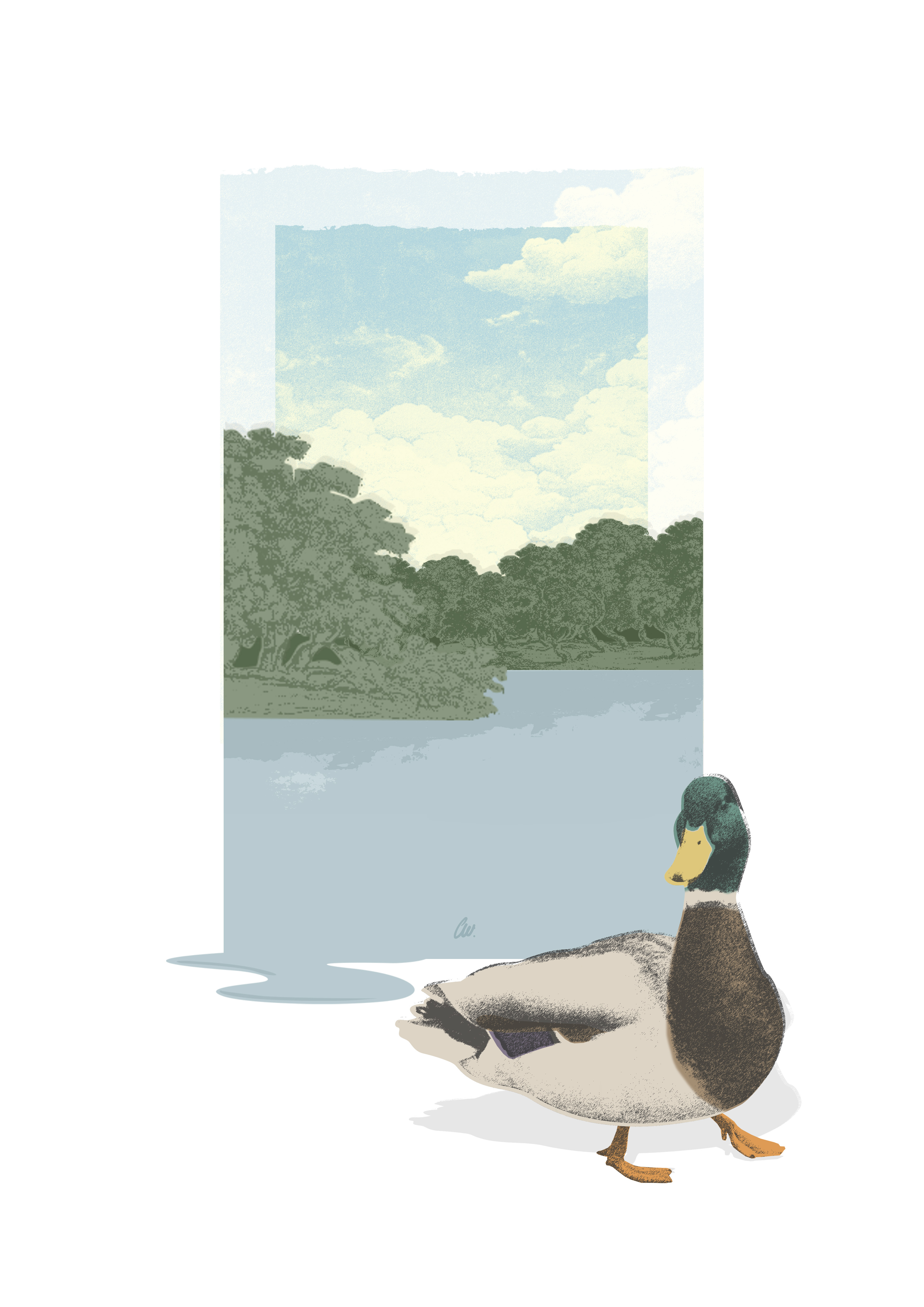 Ay Up Duck book illustration illustration