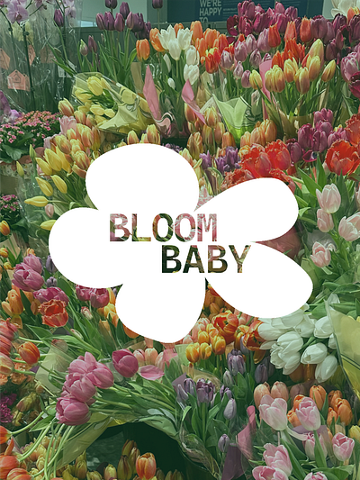 Bloom Baby: Florist Branding branding design florist flowers graphic design illustration logo