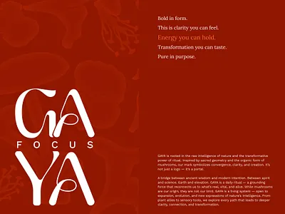 Gaya: Branding branding graphic design logo