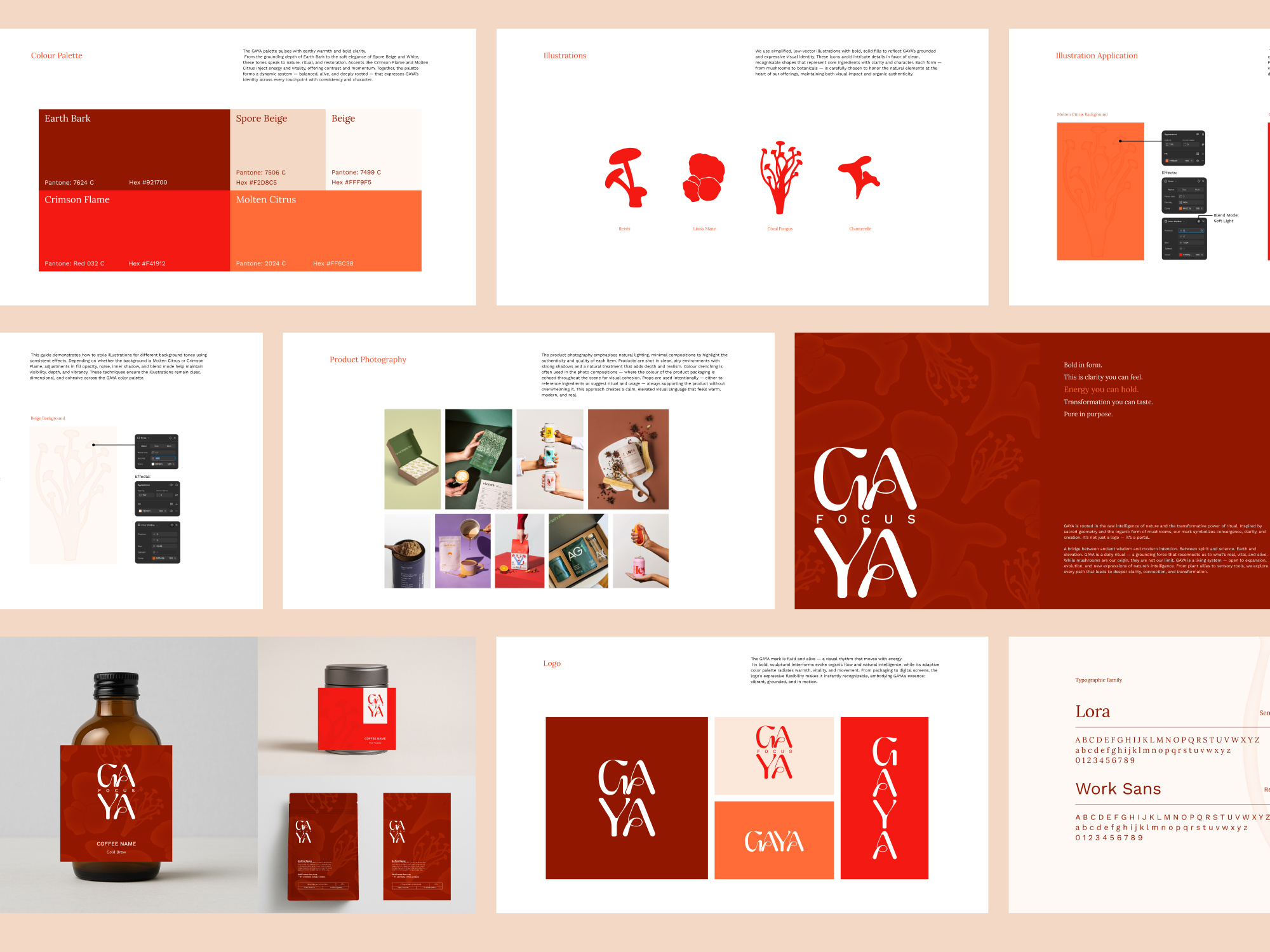 Example of Starter Brand Kit