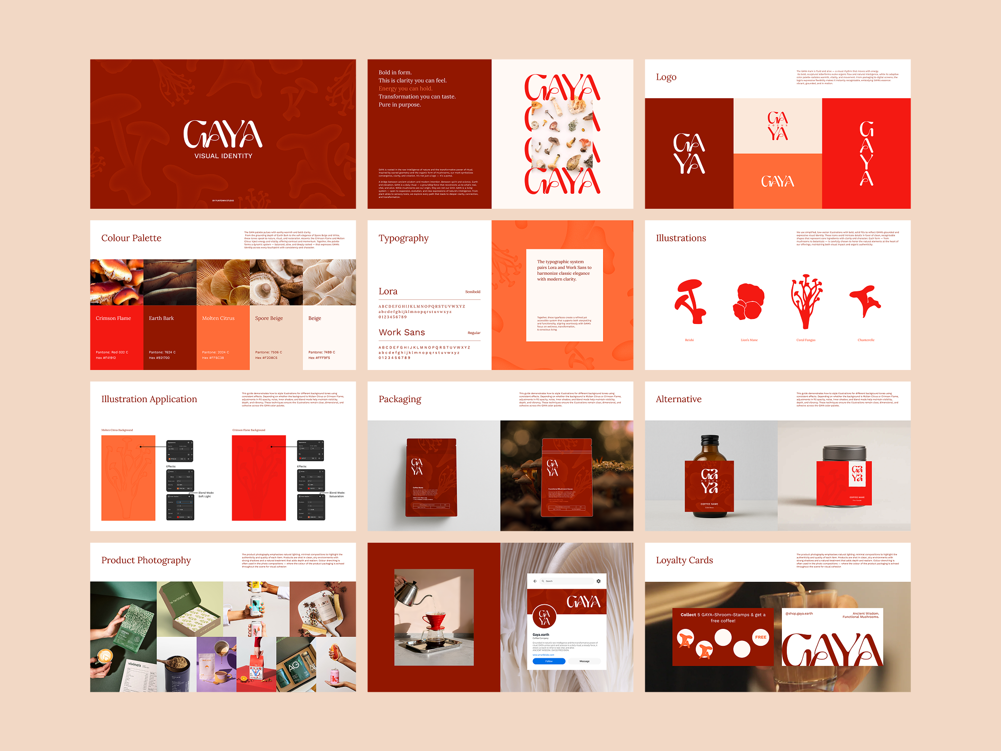 Example of Full Brand Identity