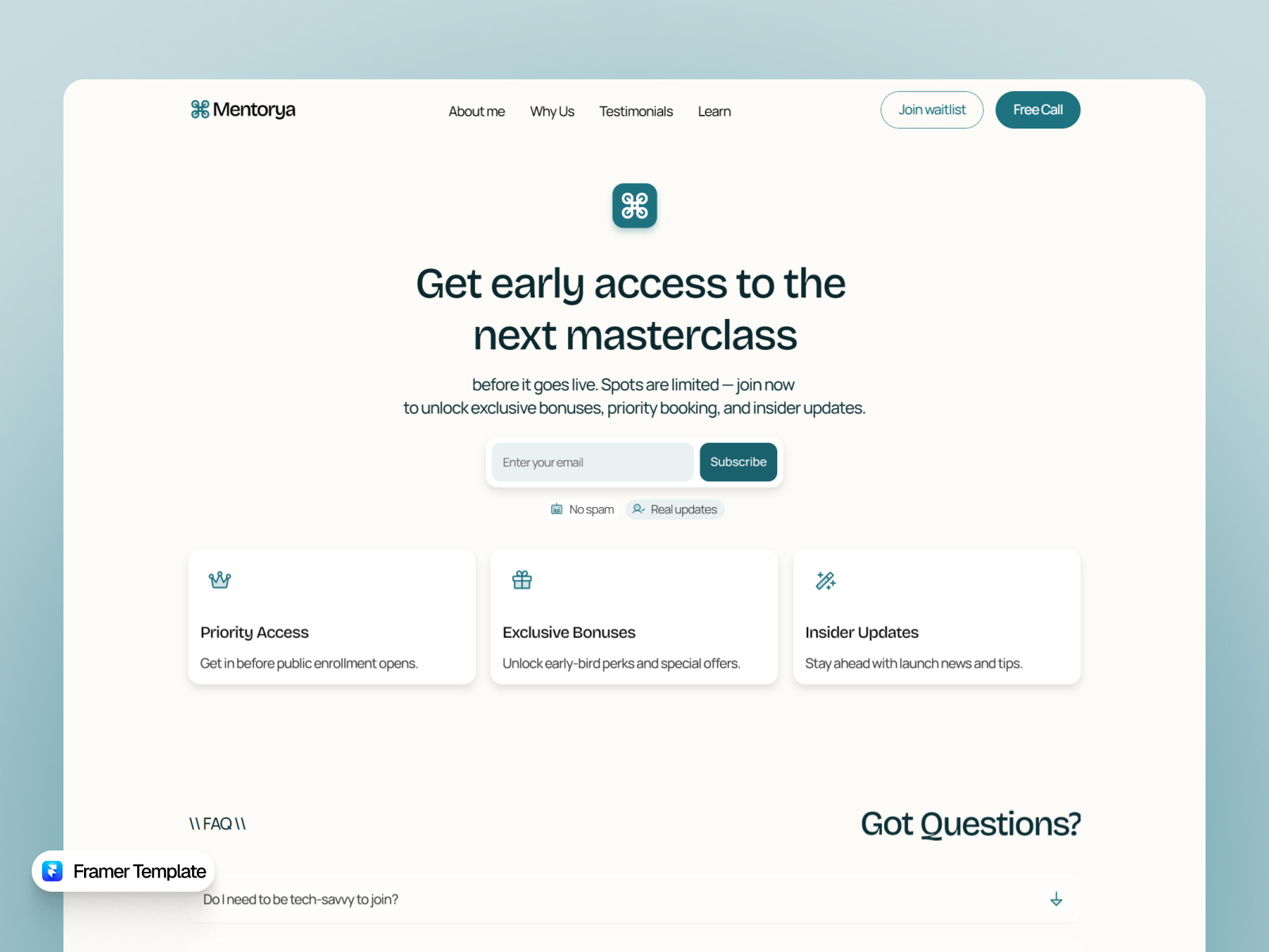 Example of Premium Landing Page 