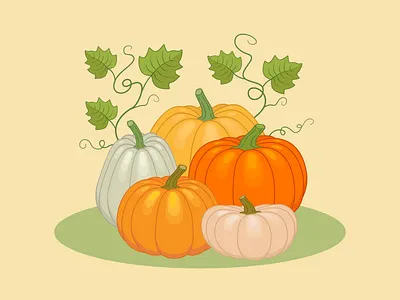 Pumpkin season autumn autumn illustration autumn vibes autumnal design digitalart digitalillustration graphic design harvest illustration nature pumpkin pumpkin season pumpkins vector vector illustration