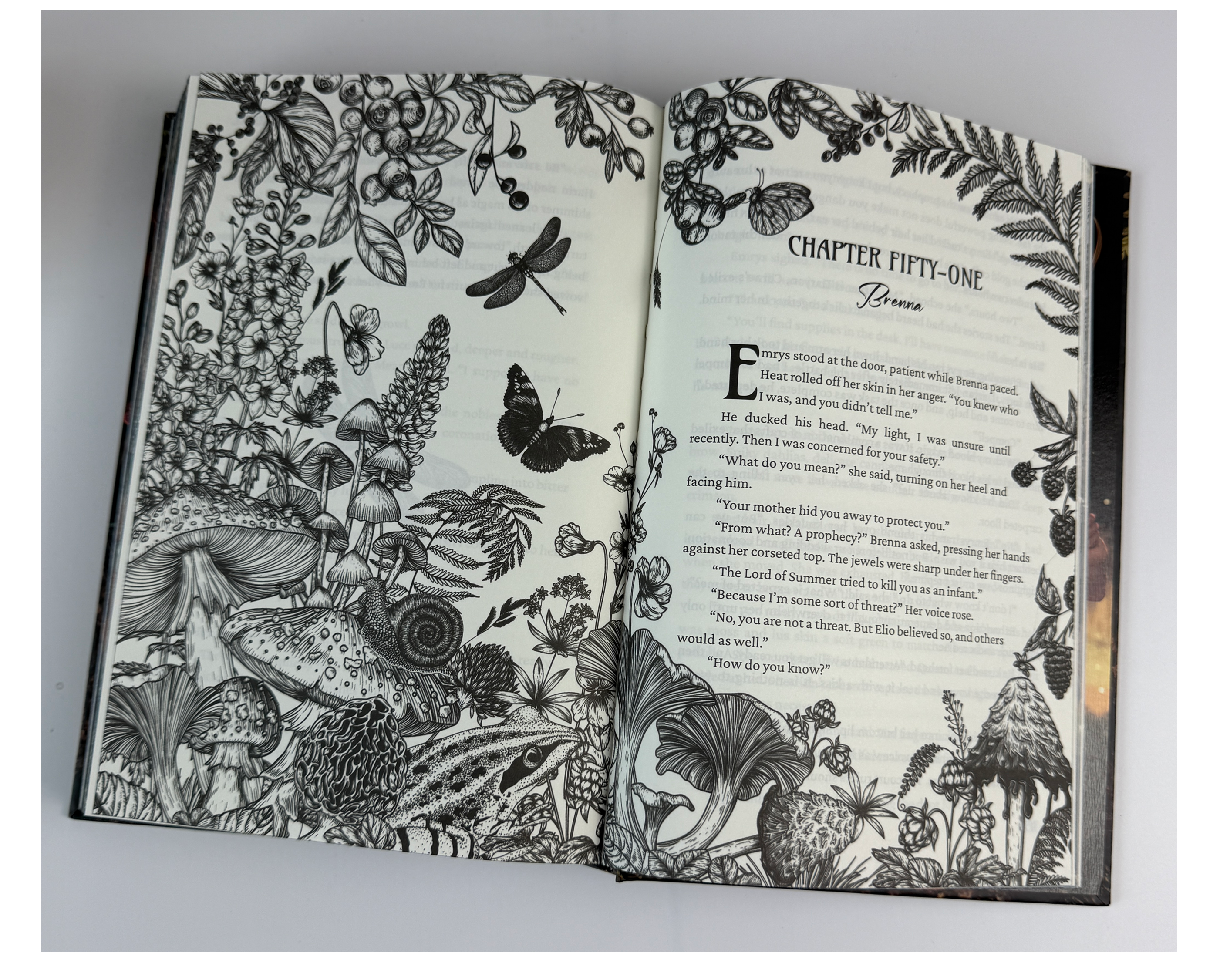 Illustration of the chapter beginning spreads art book design book illustration book spread digital art digital illustration engraving graphic illustration illustration line art page design vector illustration