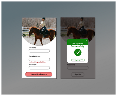 011 Flash message 001 011 daily 100 challenge daily ui dailyui dailyuichallenge design flash messsage horse sign up success ui ux
