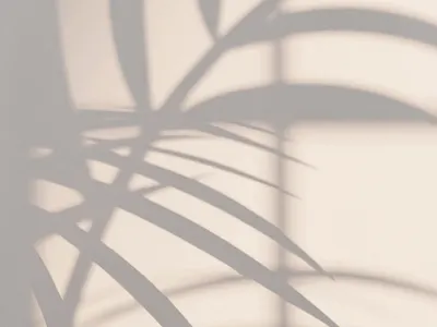 Squarespace Web Design Portfolio | Modern Websites for Creatives branding design graphic design illustration logocreation squarespace squarespaceexpert squarespacewebdesign ui webdesign