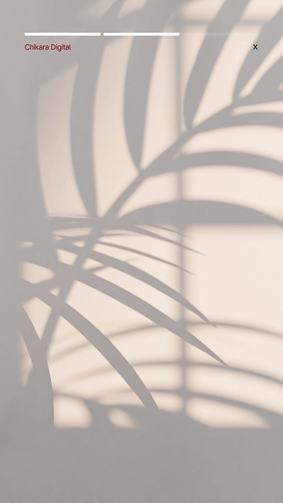 Squarespace Web Design Portfolio | Modern Websites for Creatives branding design graphic design illustration logocreation squarespace squarespaceexpert squarespacewebdesign ui webdesign