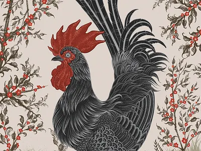 Black Rooster illustration