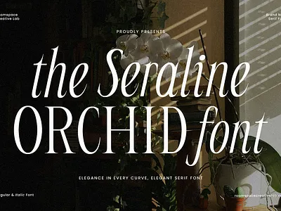 Seraline Orchid – Modern Elegant Serif branding classic design display editorial elegant fashion font graphic design ligature logo luxury magazine modern serif typeface typography