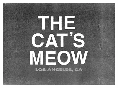THE CAT'S MEOW RESCUE cat copymachine nonprofit typedesign typography