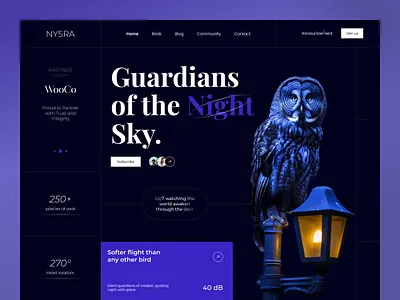Nysra - Owl Bird Landing Page bird dark theme design home page landing page nature owl ui web web page website