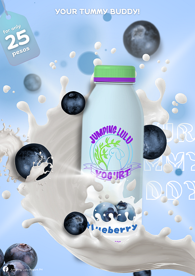 Product Design Blueberry graphic design