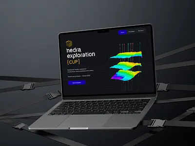 Nedra Digital — визуальный стиль и брендинг branding design graphic design illustration logo typography ui ux