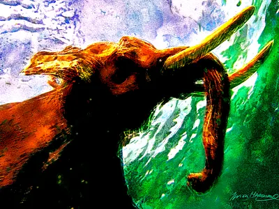 L'éléphant et l'eau