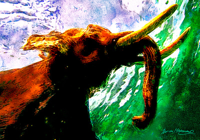 L'éléphant et l'eau