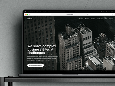 Website Design for Consulting Firm web design website