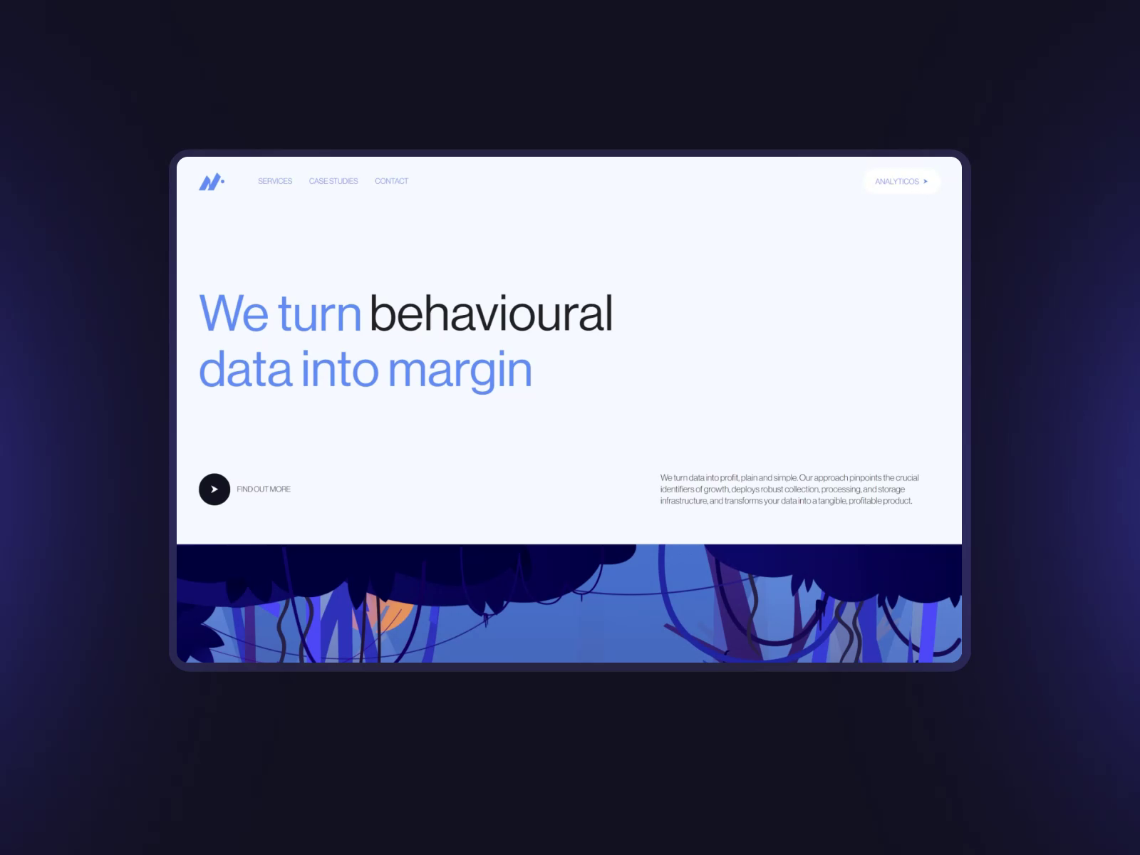 Example of Website Launch Package