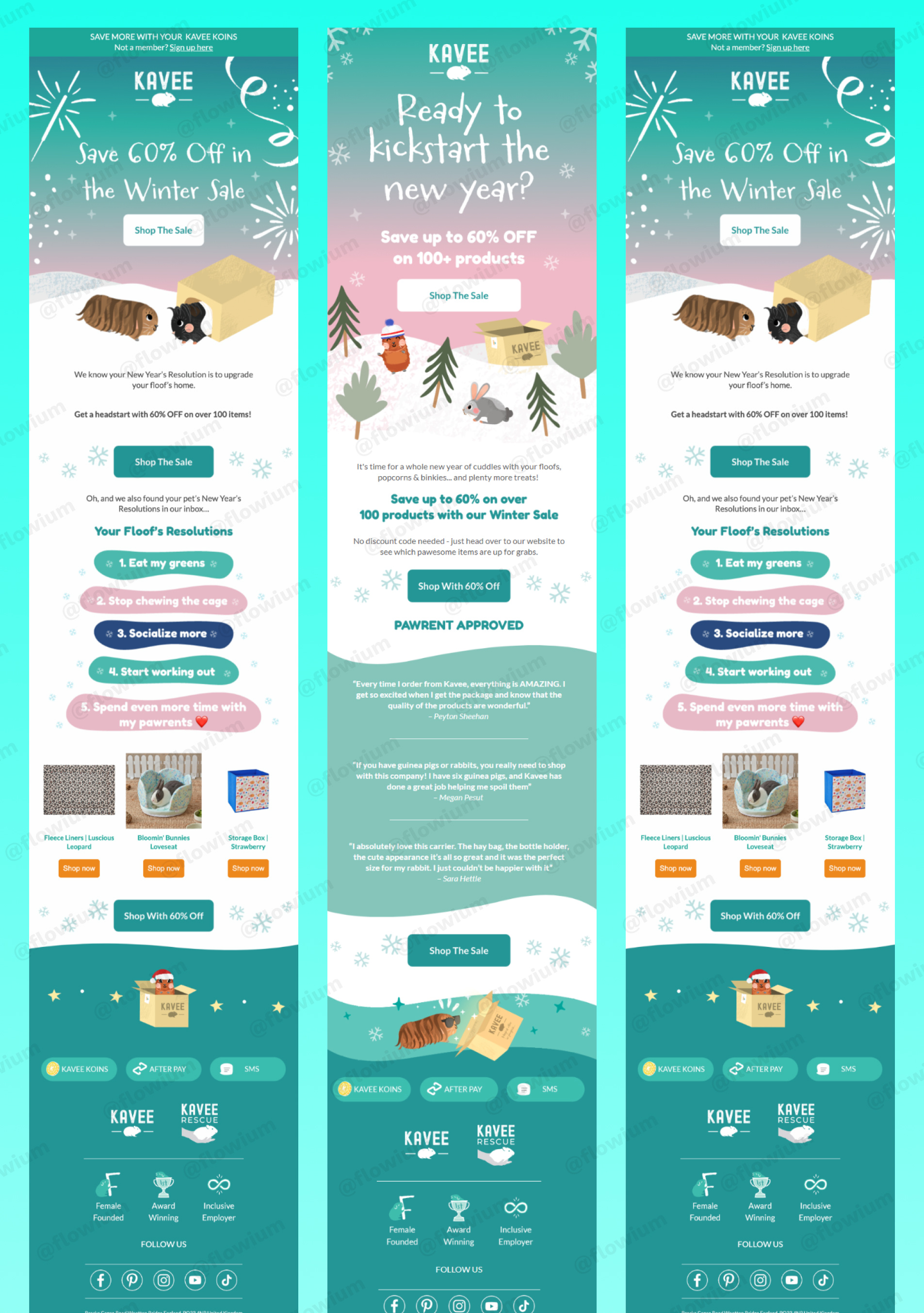 eCommerce Email Design for Pet Brand Winter Sale ecommerce ecommerce design ecommerce store email email design email marketing email marketing design newsletter newsletter design