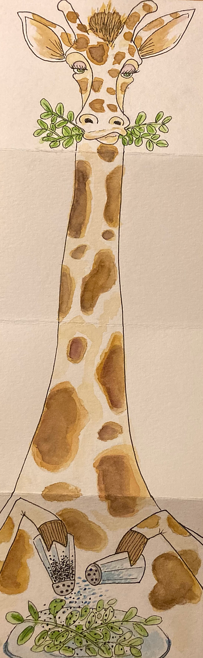 Giraffe drawing greeting card illustration ink watercolor