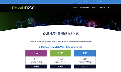PlasmidPROS Website and Branding branding web design